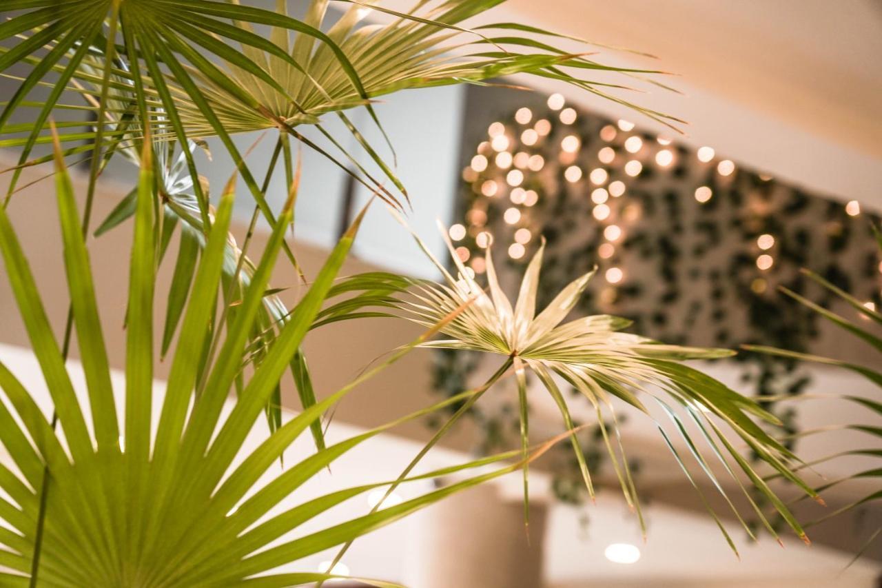 Chairu Eco Hotel Santa Cruz de La Sierra Εξωτερικό φωτογραφία